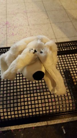 IMG-20160206-WA0005